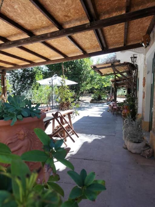Villa Marcella Casa Vacanza Grottazzolina Екстериор снимка