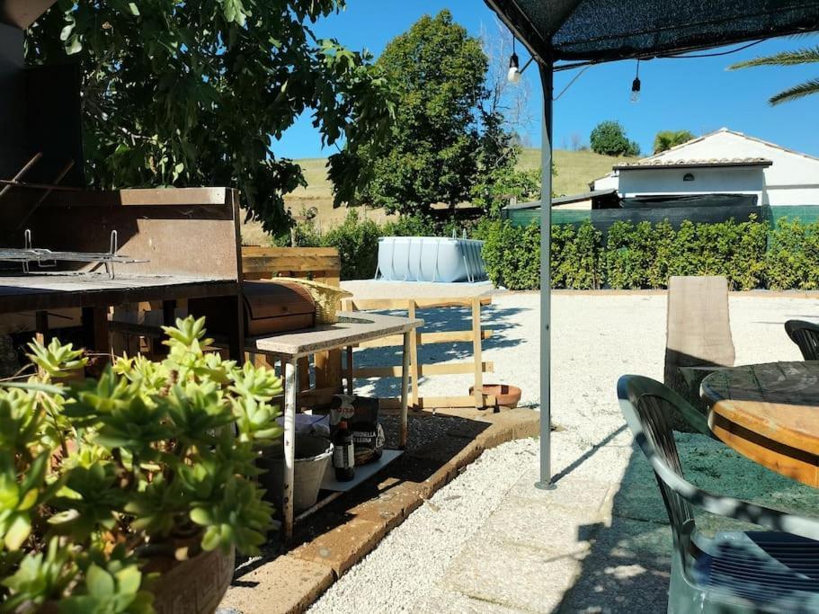 Villa Marcella Casa Vacanza Grottazzolina Екстериор снимка